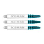 Red Dragon Nitrotech Ionic Gerwyn Price White | Dart Shafts | Polycarbonate