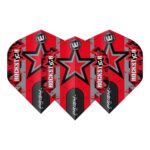 Winmau set van 3 flights | Joe Cullen