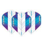 Red Dragon set van 3 flights | Gerwyn Price Iceman | Rainbow