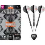 Target Raymond van Barneveld Echo | 95% Tungsten