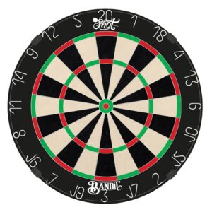 Shot Bandit Professioneel Dartbord